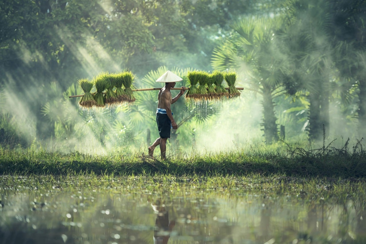 Balinese Cultural Tour