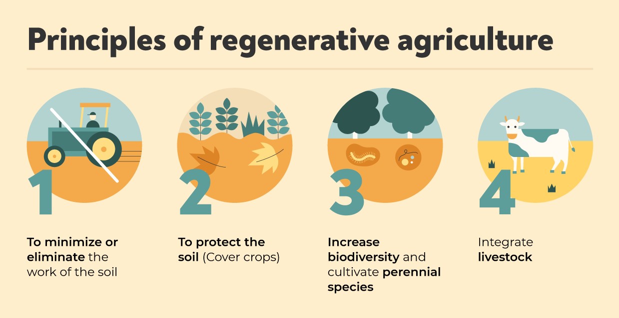 Regenerative Agriculture