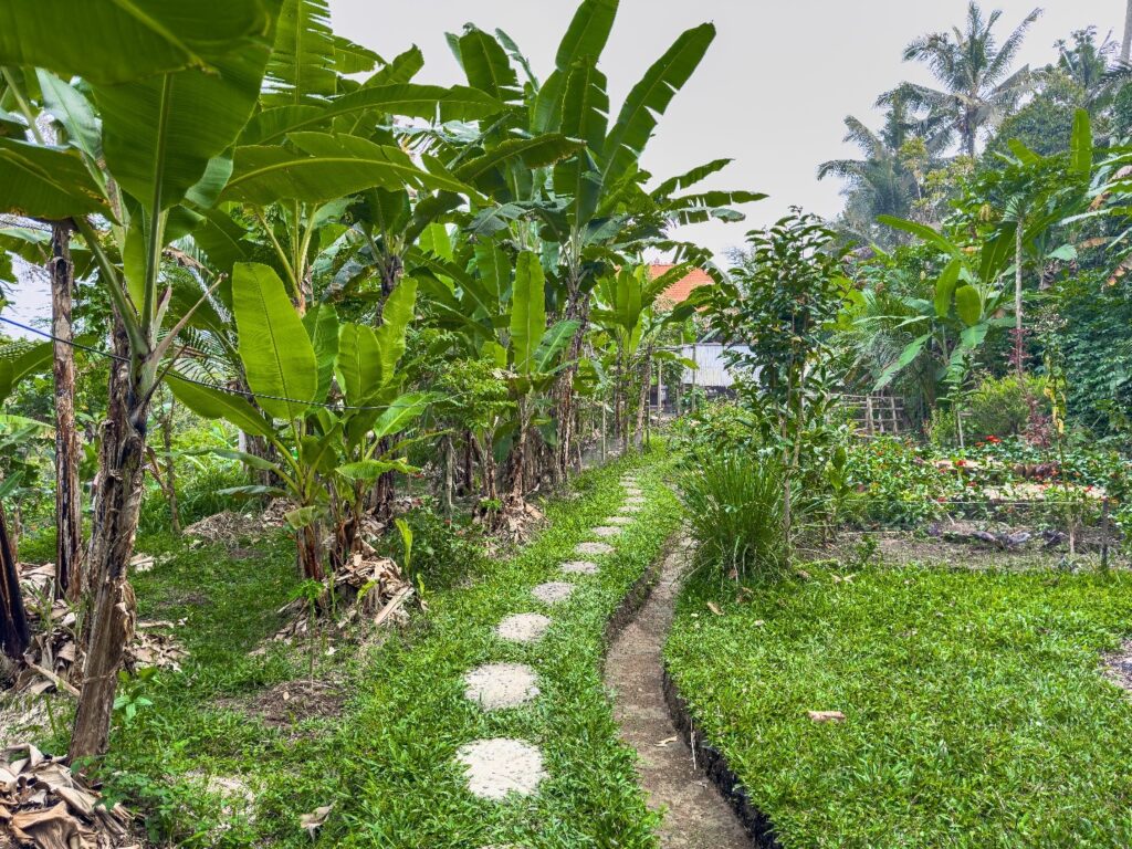 Permaculture Bali